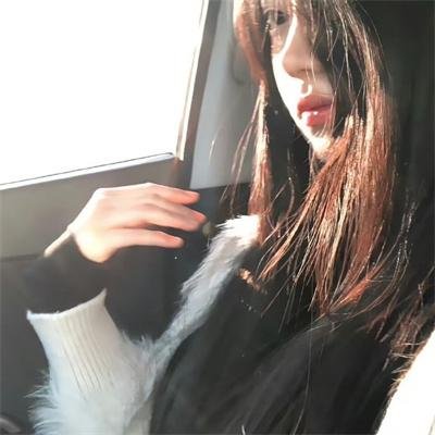 小野猫的公路历险记